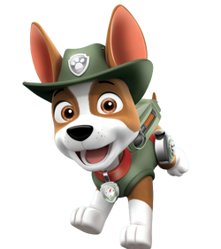 Tracker Patrulla Canina Paw Patrol en Español 🧭 