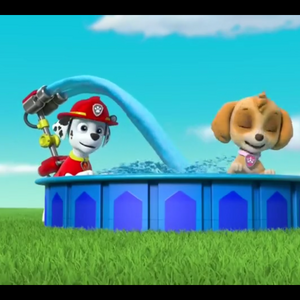 Skye Gallery Pups Save A Duck Pond Paw Patrol Wiki Fandom Collection by • kelli • • last updated 8 weeks ago. skye gallery pups save a duck pond
