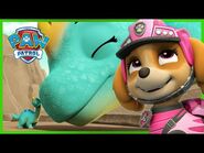 Skye Dino Rescues and MORE - PAW Patrol - Cartoons for Kids Compilation