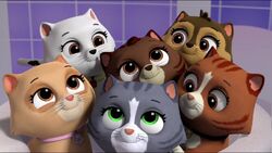 Cat Zuma, PAW Patrol Wiki