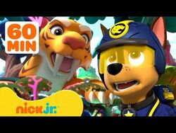 1 Hour! Skye and Chase Stop a Runaway Trash Truck, PAW Patrol