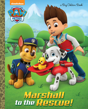 big marshall paw patrol