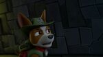 Paw.Patrol.S03E25.Tracker.Joins.the.Pups.720p.WEB-DL.AAC2.0.H264-BTN 1022730