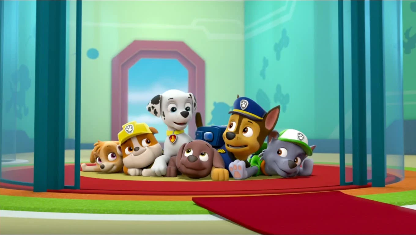 paw patrol pups save rocky