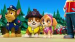 PAW.Patrol.S01E26.Pups.and.the.Pirate.Treasure.720p.WEBRip.x264.AAC 767333