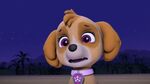 PAW.Patrol.S02E16.Pups.Save.a.Mer-Pup.720p.WEBRip.x264.AAC 309576