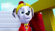 PAW Patrol Sea Patrol 422B Scene 30 Marshall.png (635 KB) Ice uniform