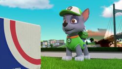 Rocky, PAW Patrol Wiki