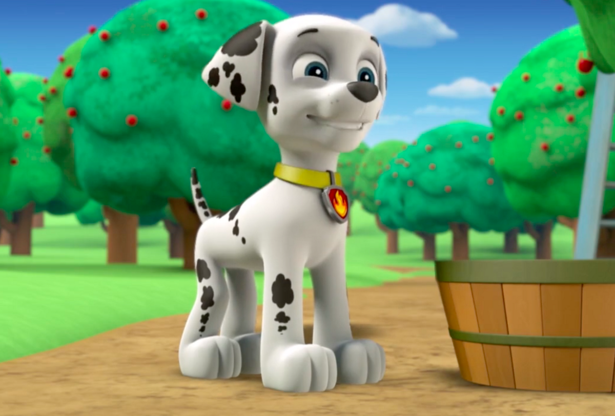 Marshall Paw Patrol Wiki Paw Patrol Pups Fall Festival