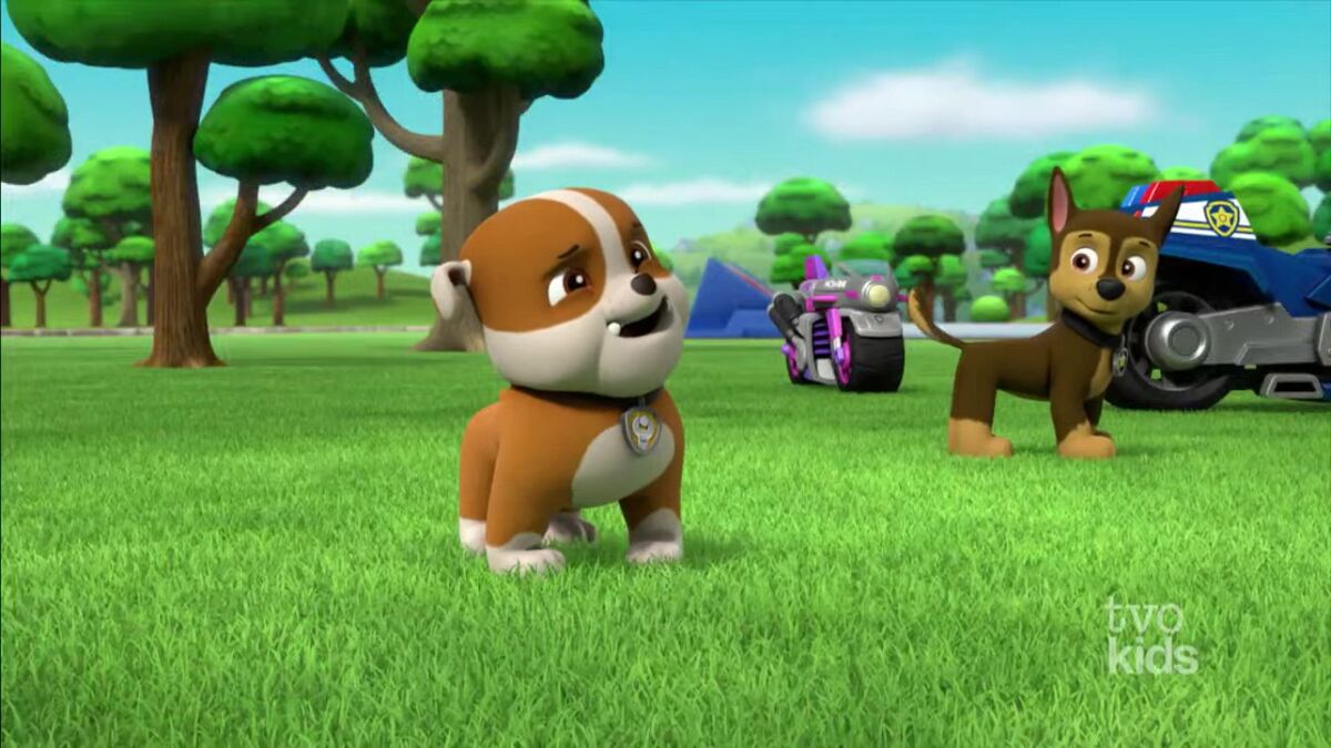 Rubblegallerymoto Pups Rescue At Twisty Top Mesa Paw Patrol Wiki Fandom