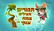 מפרץ ההרפתקאות הגורים מצילים צמח ענקי.png (651 KB) "Pups Save a Giant Plant" ("הגורים מצילים צמח ענקי") title card on Nick Jr.