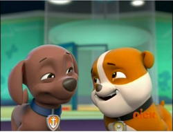 Zuma/Gallery, PAW Patrol Wiki, Fandom