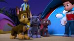 PAW.Patrol.S02E16.Pups.Save.a.Mer-Pup.720p.WEBRip.x264.AAC 329095