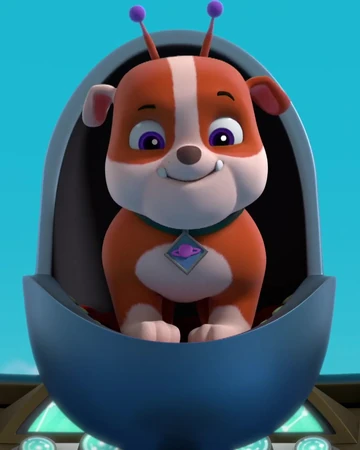 Rubble-Double | PAW Patrol Wiki | Fandom