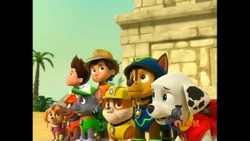 Ryder/Gallery/Pups Save the Parrot 