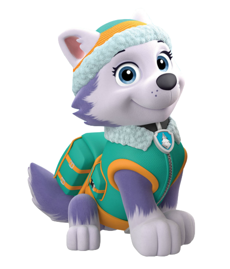 everest paw patrol pup