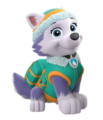 PAW Patrol Pups Meet EVEREST! ❄️PAW Patrol Pup Tales Rescue