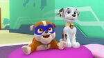 PAW.Patrol.S02E03.Pups.Save.Jake.-.Pups.Save.the.Parade.720p.WEBRip.x264.AAC 51385