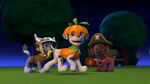 PAW.Patrol.S01E12.Pups.and.the.Ghost.Pirate.720p.WEBRip.x264.AAC 1315414