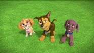 PAW Patrol Monkey-naut Scene Chase Zuma Skye