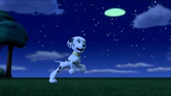 Freighter | PAW Patrol Wiki | Fandom