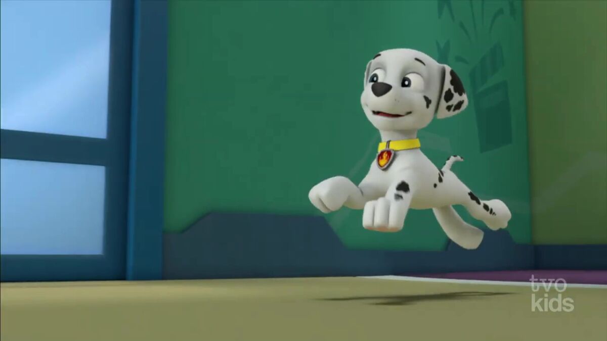 Marshall/Gallery/Pups Save the Game Show, PAW Patrol Wiki