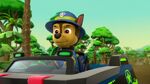 Paw.Patrol.S03E25.Tracker.Joins.the.Pups.720p.WEB-DL.AAC2.0.H264-BTN 742868