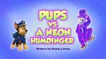 Pups vs a Neon Humdinger (temp)