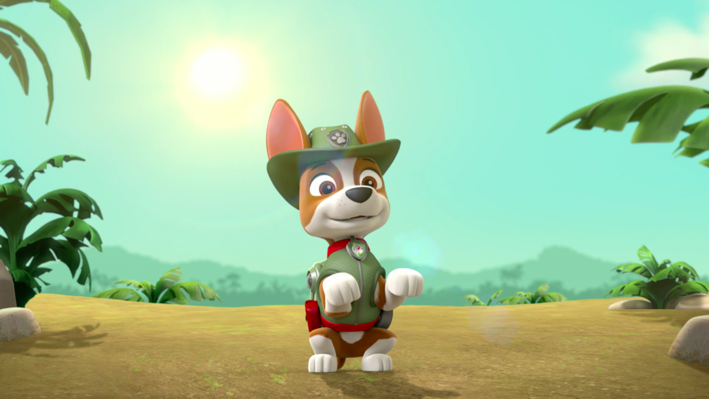 tracker paw patrol