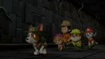 Paw.Patrol.S03E25.Tracker.Joins.the.Pups.720p.WEB-DL.AAC2.0.H264-BTN 1201408