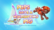 Pups Save a Windsurfing Pig (HQ)