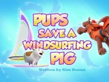 Pups Save a Windsurfing Pig