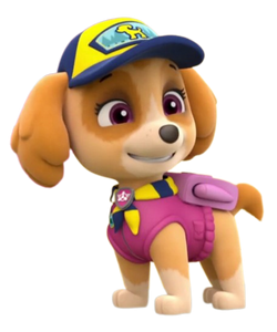 Skye, PAW Patrol Wiki