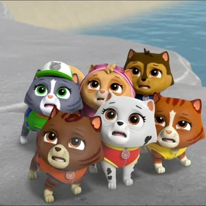 Cat Rocky Gallery Mighty Pups Super Paws Pups Save A Mega Mayor Paw Patrol Wiki Fandom
