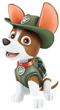 Tracker Patrulla Canina Paw Patrol en Español 🧭 