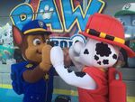 PAW Patrol Tour (2015)