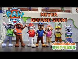 PAW Patrol Mascots PAW Patrol Wiki Fandom