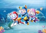 Paw-patrol-sea-wall-mural-wallpaper-160x110cm-34369-1-p