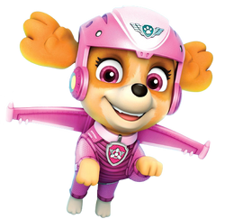 Air patrol skye online