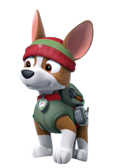 Tracker, PAW Patrol Wiki