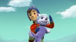 PAW.Patrol.S02E07.The.New.Pup.720p.WEBRip.x264.AAC 1182515