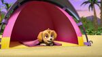 PAW.Patrol.S02E16.Pups.Save.a.Mer-Pup.720p.WEBRip.x264.AAC 1327793