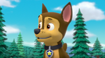 PAW Patrol 323B Scene 13