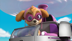 https://static.wikia.nocookie.net/paw-patrol/images/9/96/Cupcakes_Skye_3.png/revision/latest/scale-to-width-down/250?cb=20210906093743