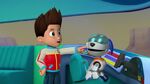 PAW.Patrol.S02E07.The.New.Pup.720p.WEBRip.x264.AAC 307641