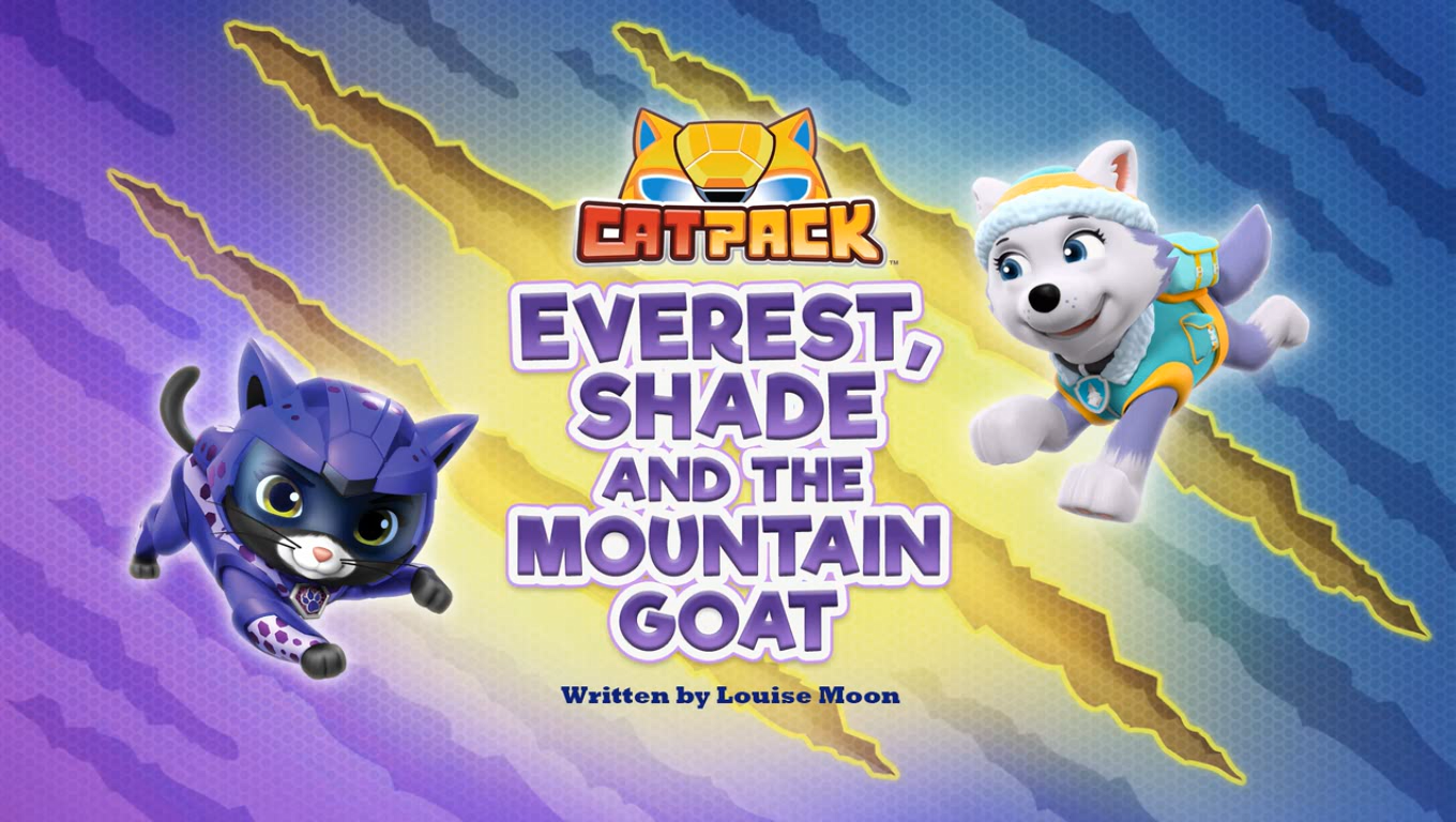Everest paw patrol backpack discount
