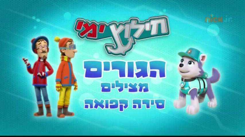 Paw patrol sea patrol everest sales