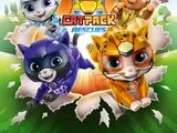 Cat Pack Rescues