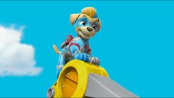 Tuck | PAW Patrol Wiki | Fandom