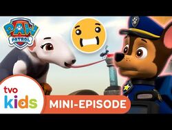 Pups Save a Baby Anteater Videos PAW Patrol Wiki Fandom